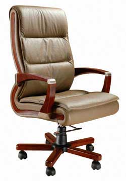 Deluxe Chair (SD -101)