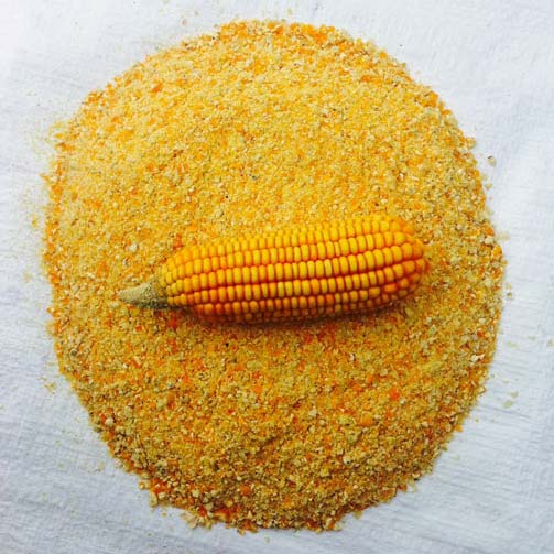 Maize Powder