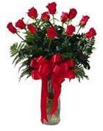 12 Red Rose Bouquet in Wase