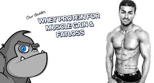 whey proteins