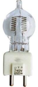 650w 240v Globe Reolite