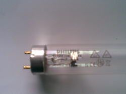 Philips Holland 20w Germidical