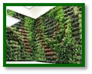 Vertical Green Bio Wall Garden