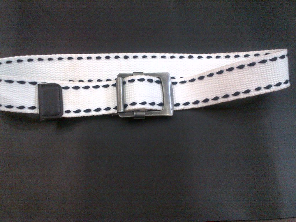 Canvas Belt