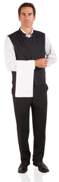 Waiter Cloth