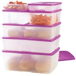 Plastic Tupperware Freezer Mate, 1000 mL