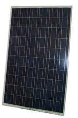 Polycrystalline Solar Panels