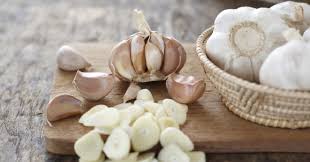 fresh garlic