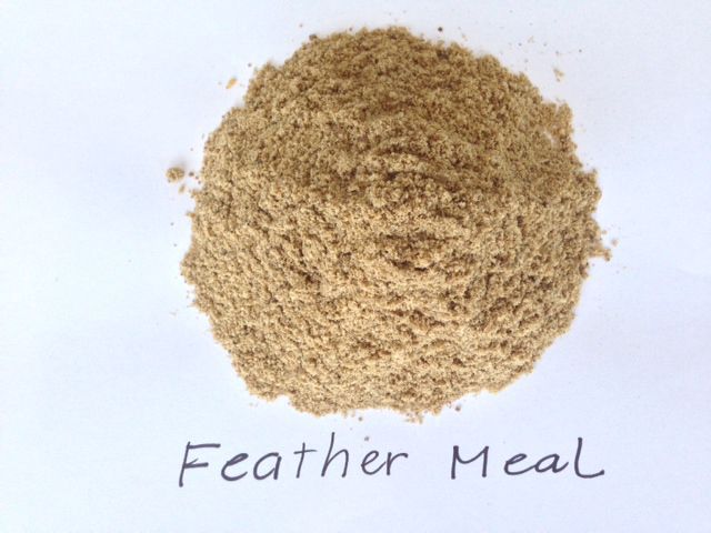 Poultry Feather Meal