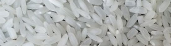 Swarna Raw Rice