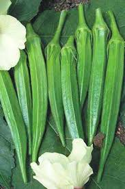 Hy Okra seed