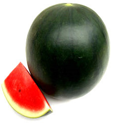 Watermelon Seeds, Certification : Phyto certoficate