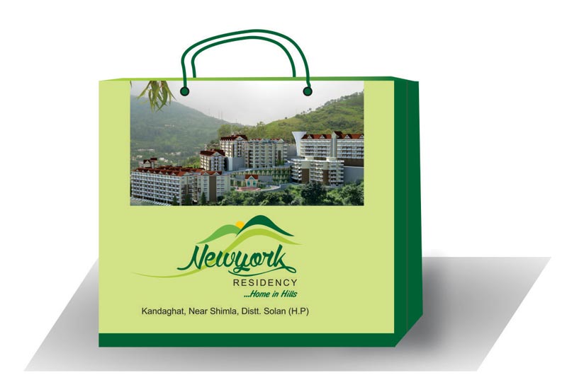 Paper Carry Bag Printing Services