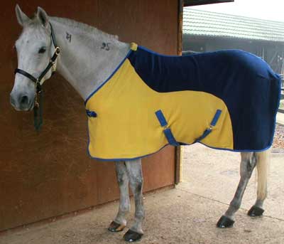 Horse Show Rugs -fr-2003072