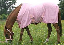 Horse Show Rugs (product Code: Fr-2003070)