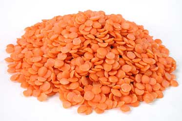 Red Lentil