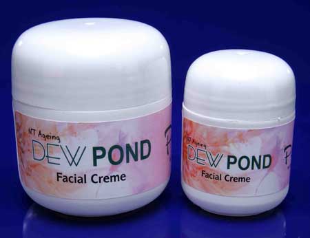 Anti Aging Face Cream