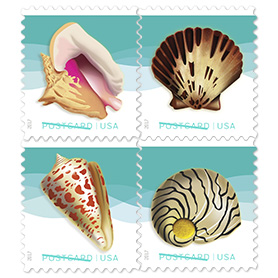 Seashells Postcard Stamp