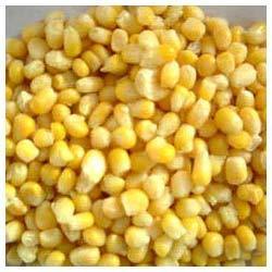 MATROBITES FARM frozen sweet corn, Freezing Process : IQF