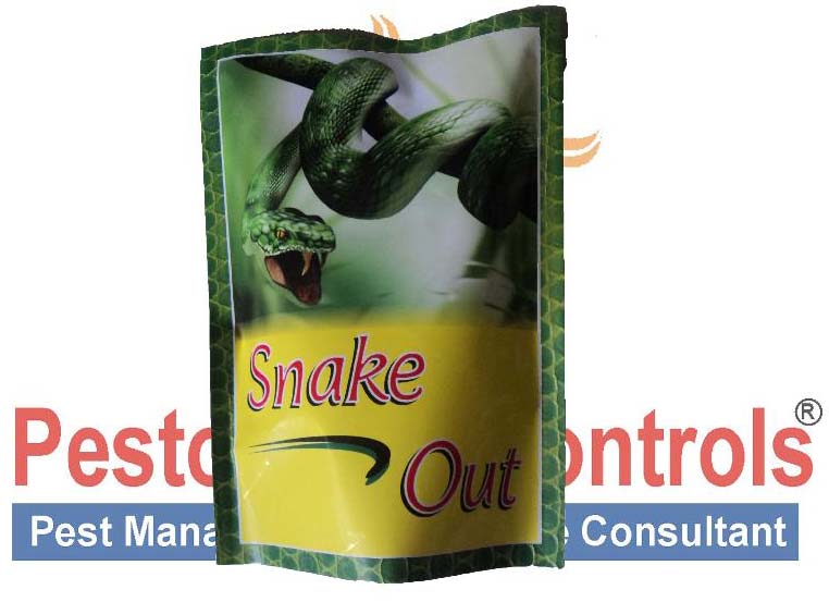 Snake Out