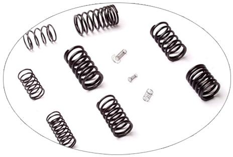 Valve Springs