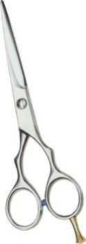 Barber Scissors