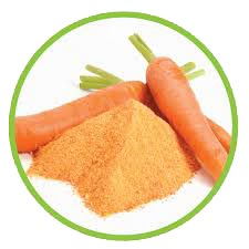 Dehydrated Carrot Powder