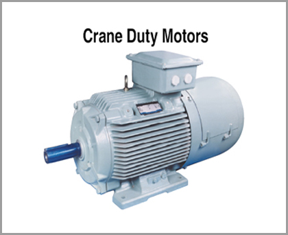 Crane duty motors