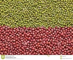 Green Mung Bean