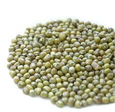Green Mung Bean