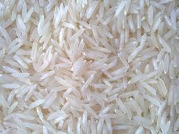 Hard Organic Traditional Basmati Rice, for Gluten Free, High In Protein, Variety : Long Grain