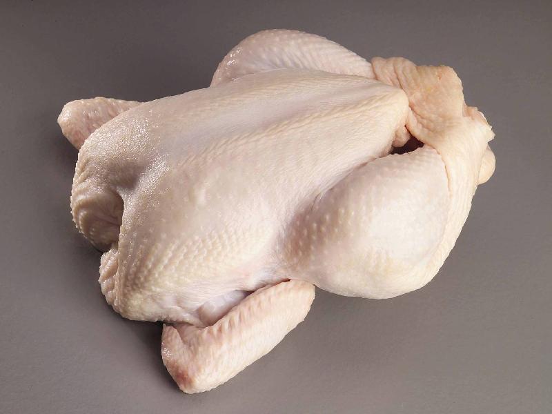 Halal frozen boneles Chicken