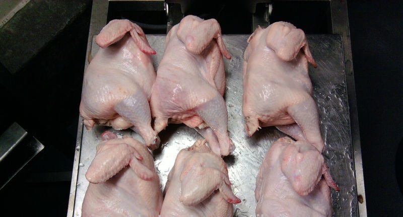 Halal Frozen Half Chicken