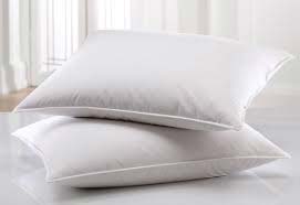 Plain Pillow Cases