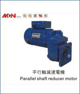 Parallel Shaft Reducer Motor