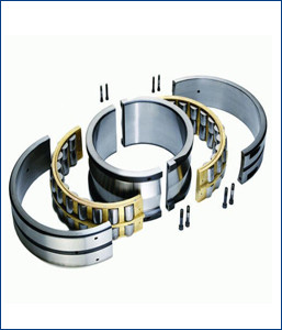 Split Cylindrical Roller Bearing