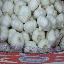 Fresh White Garlic