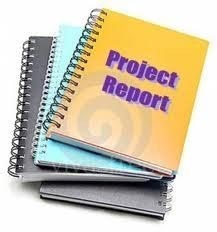 project report services