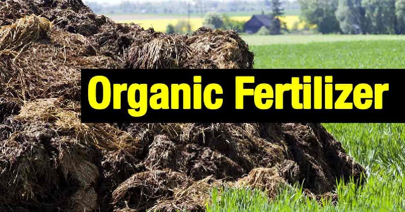 organic fertilizers