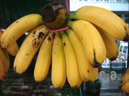 organic banana
