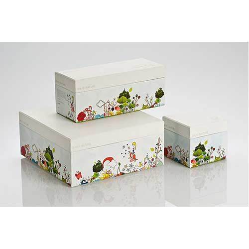Printed Cardboard Packaging Boxes