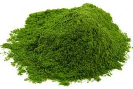 Dried Spinach Leaves Powder