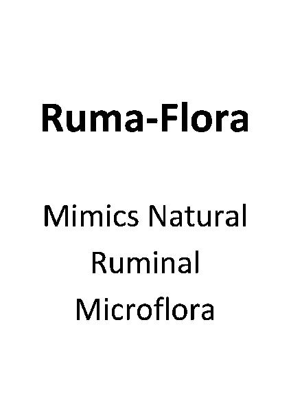 Ruma-Flora (Mimics Natural Ruminal Microflora)