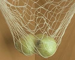 Fruits Basket Net