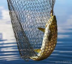 Pe Fishing Net