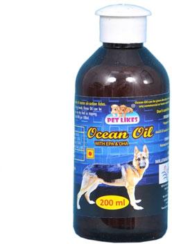 Ocean Oil