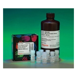 Protein Quantitation Kit