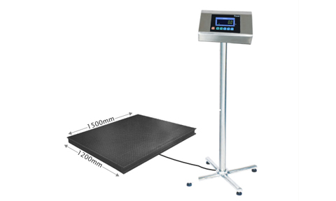 Essae Industrial Platform Weighing Scale