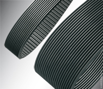 Special Ribbed Belts
