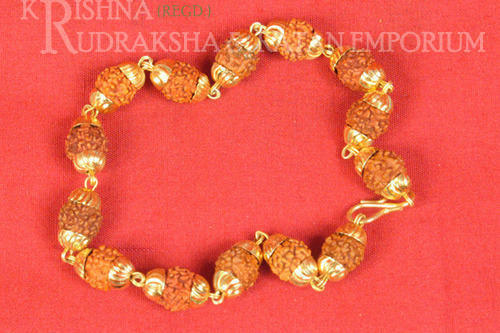 Panchmukhi Rudraksha Bracelets